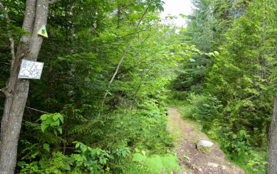 Sentiers pédestres Val-Saint-Côme accessibles à pieds chalet à louer de La Montagne Lanaudière