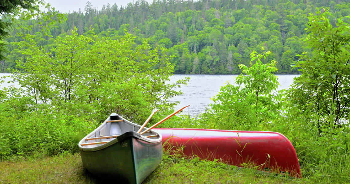 Bord de l'eau