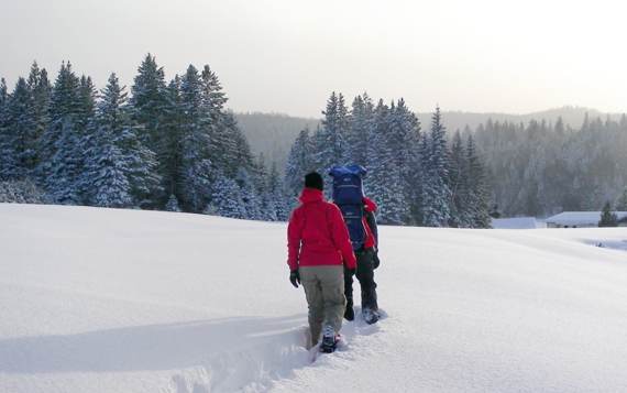 Sentier pédestre Domaine McCormick raquettes disponibles à l'accueil avec chalet vacances Pignon Nord