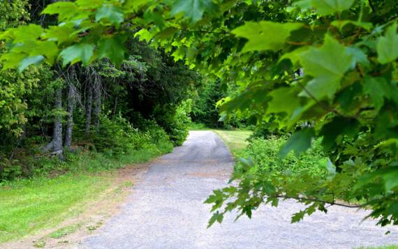 Sentier Domaine McCormick accessible en face chalet Pignon Nord