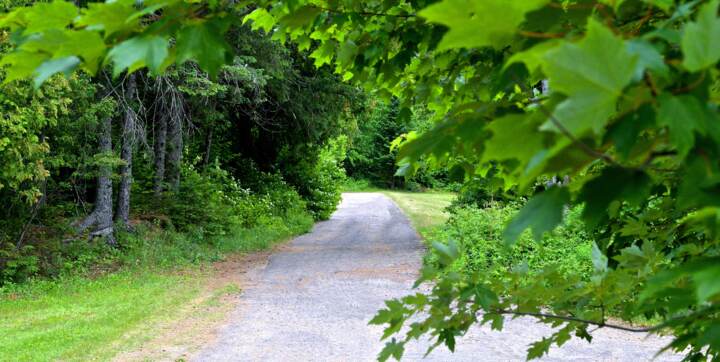 Sentier Domaine McCormick accessible en face chalet Pignon Nord