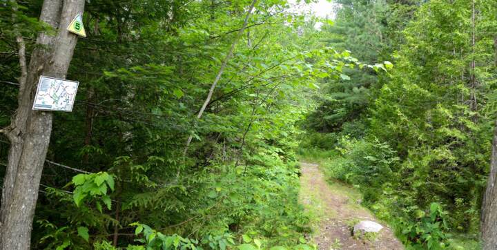 Sentiers pédestres Val-Saint-Côme accessibles à pieds chalet à louer de La Montagne Lanaudière