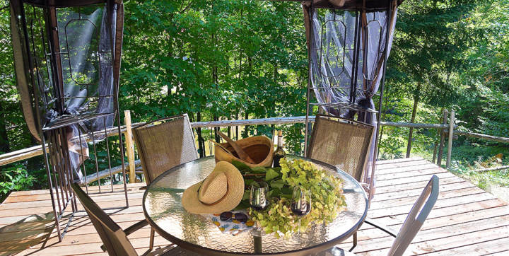 Terrasse avec toit rigide ensemble patio et vue sur le lac chalet au bord de l'eau Le Rustique
